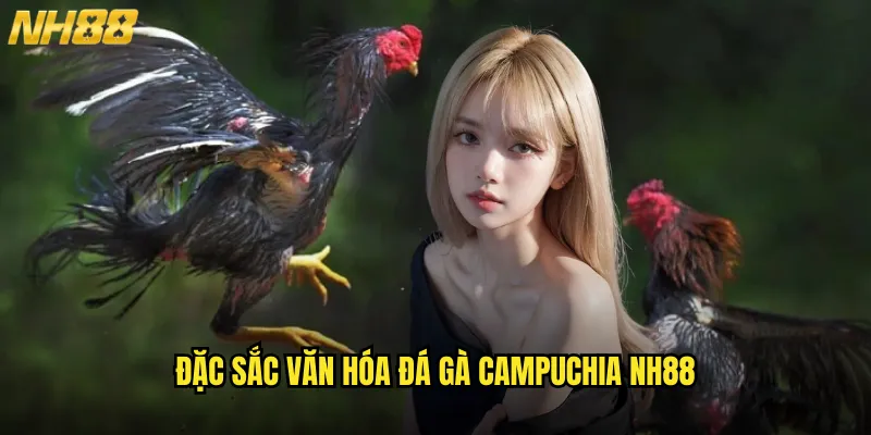 Đá Gà Campuchia NH88 Trực Tiếp Từ Sân Chơi Nổi Tiếng Nhất Đông Nam Á 2 Đặc Sắc Văn Hóa Đá Gà Campuchia NH88