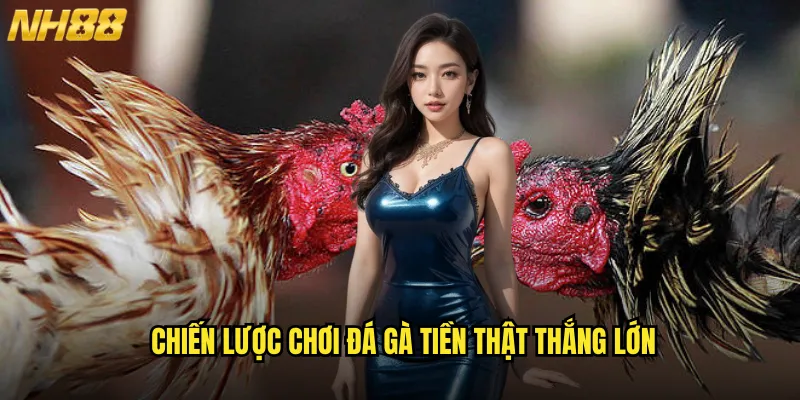Đá Gà Tiền Thật NH88 Cược Thật Trúng Thật Với Tỷ Lệ Trả Thưởng Cao Nhất 3 Chiến Lược Chơi Đá Gà Tiền Thật Thắng Lớn
