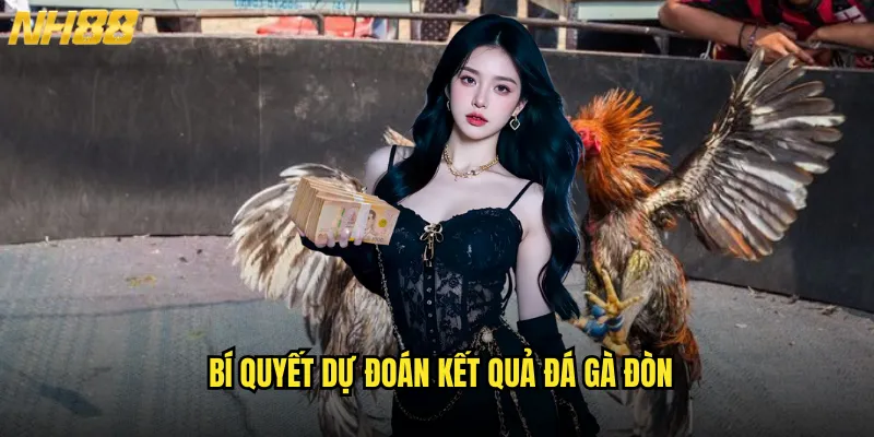 Đá Gà Đòn NH88 Thể Loại Đá Gà Kích Thích Với Những Pha Tấn Công Mãnh Liệt 3 Bí Quyết Dự Đoán Kết Quả Đá Gà Đòn