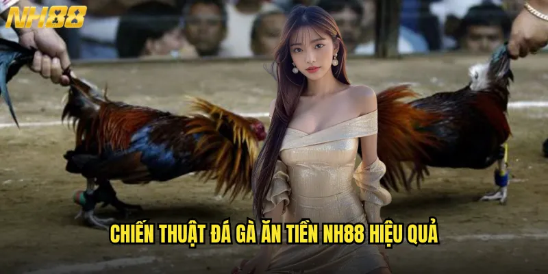 Đá Gà Ăn Tiền NH88 Bí Kíp Kiếm Lời Từ Passion Đá Gà Chuyên Nghiệp 2 Chiến Thuật Đá Gà Ăn Tiền NH88 Hiệu Quả