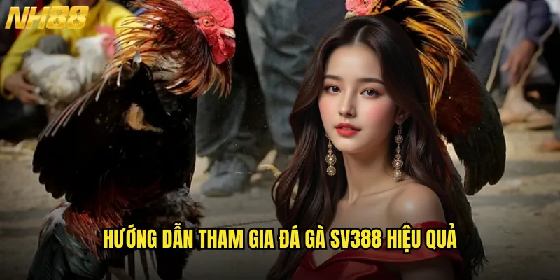 Đá Gà SV388 NH88 Sân Chơi Quốc Tế Với Công Nghệ Livestream Đỉnh Cao 3 Hướng Dẫn Tham Gia Đá Gà SV388 Hiệu Quả