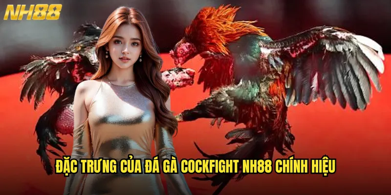 Đá Gà Cockfight NH88 Trải Nghiệm Đấu Trường Quốc Tế Chuẩn Mực Thế Giới 2 Đặc Trưng Của Đá Gà Cockfight NH88 Chính Hiệu