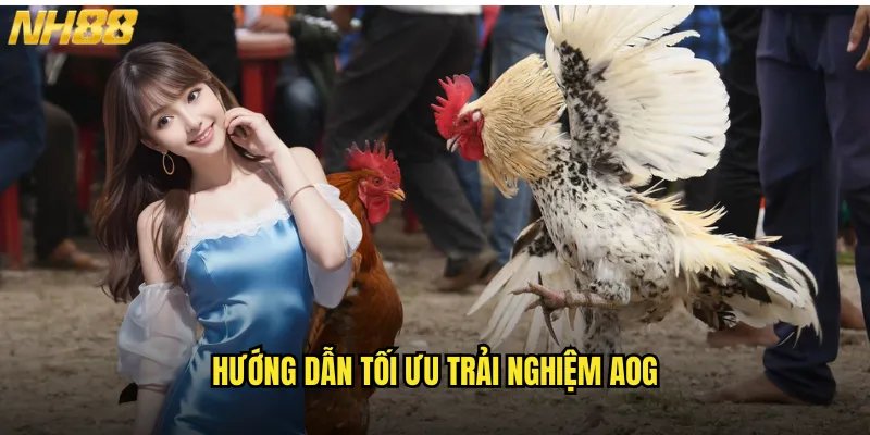 Đá Gà AOG NH88 Arena Online Gaming Mang Đến Cuộc Cách Mạng Đá Gà Số 3 Hướng Dẫn Tối Ưu Trải Nghiệm AOG
