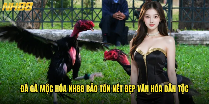 Đá gà mộc hóa NH88 tinh túy võ thuật cổ truyền miền Bắc 2 Đá gà mộc hóa NH88 bảo tồn nét đẹp văn hóa dân tộc